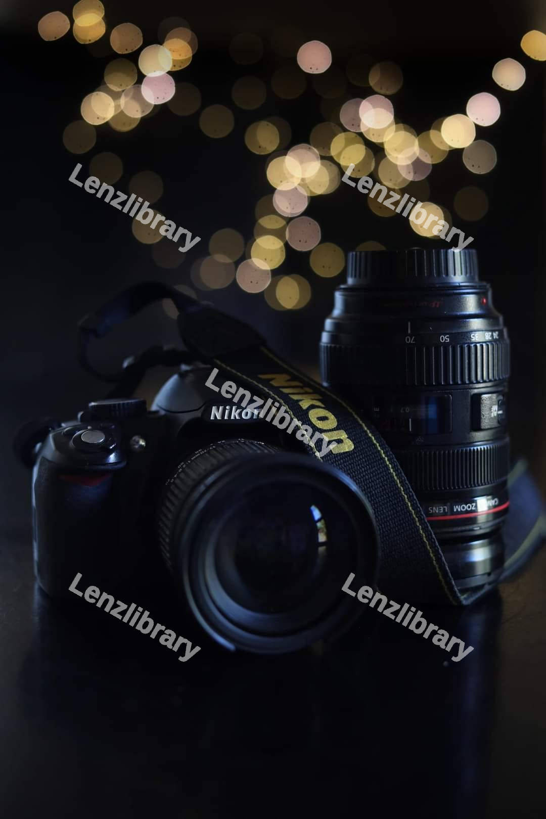 Nikon Camera